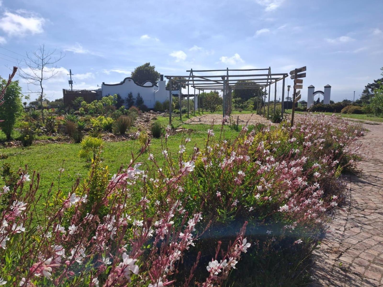 Dunkes Organic Equestrian Estate Appartement George Buitenkant foto