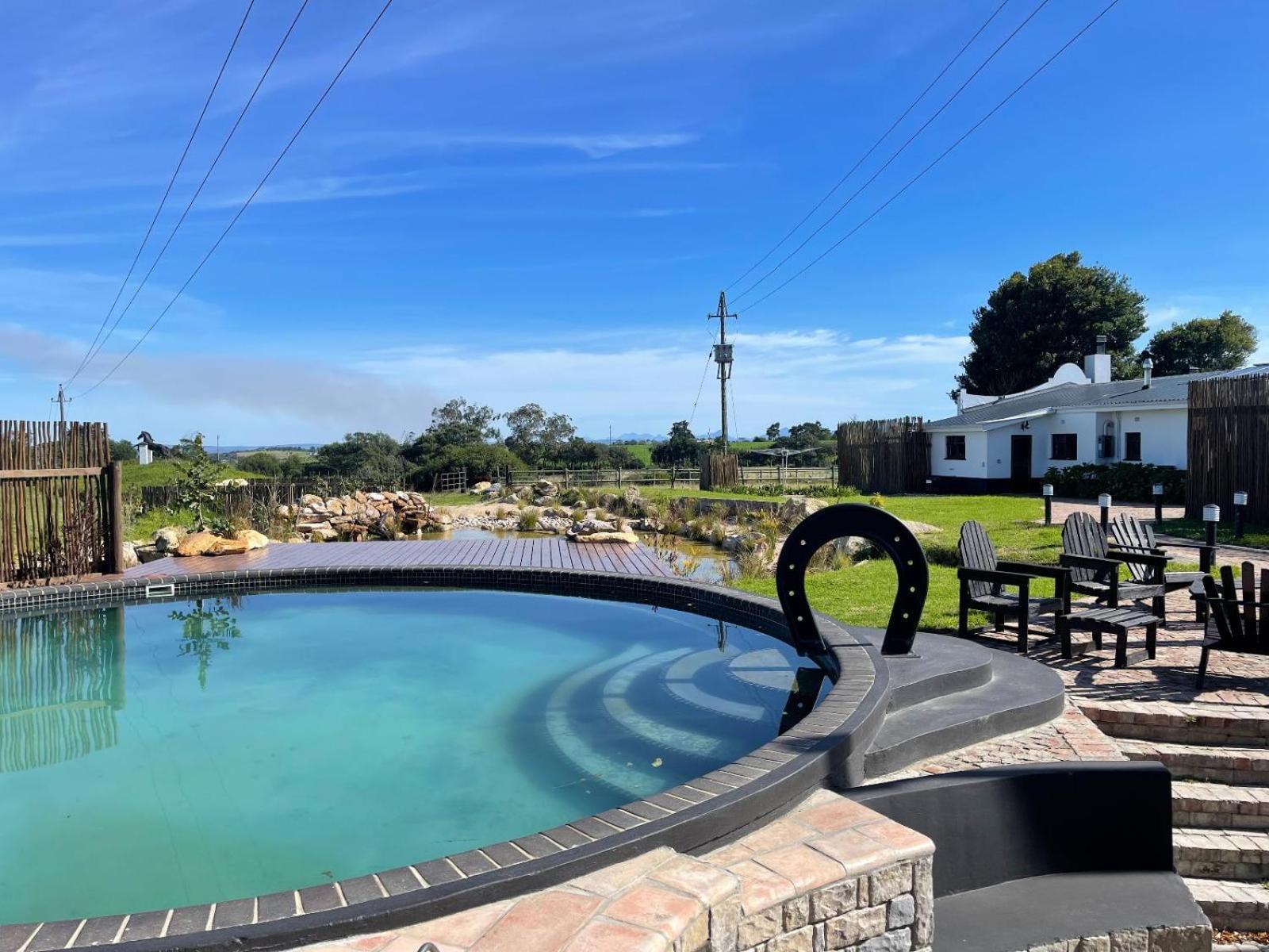 Dunkes Organic Equestrian Estate Appartement George Buitenkant foto
